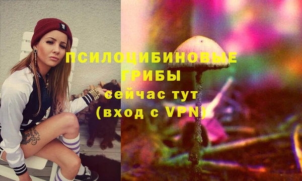 соль курить ск Армянск