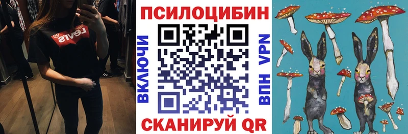 Галлюциногенные грибы Psilocybe  Ржев 
